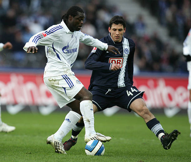 世界女排联 世界女排联